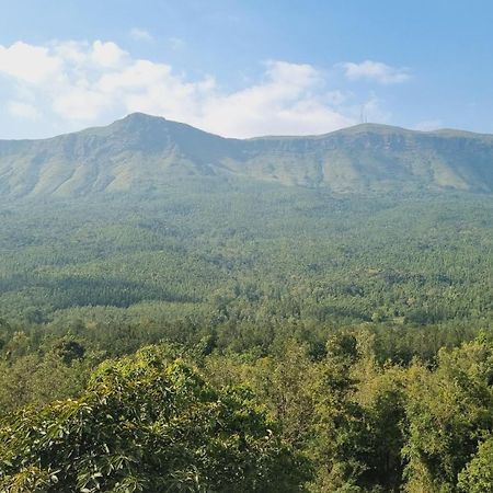 The Inchara Hill View Homestay Chikmagalur Exterior photo